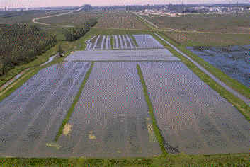 In Louisiana, Farmers Use Rice Fields as Crayfish Ponds - The New